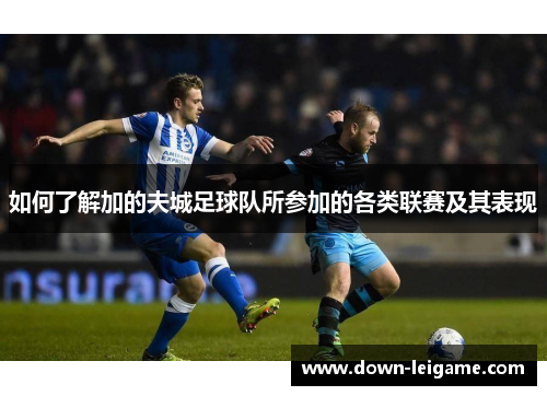 如何了解加的夫城足球队所参加的各类联赛及其表现