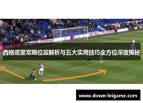 西格诺里常踢位置解析与五大实用技巧全方位深度揭秘