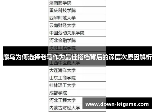 魔鸟为何选择老马作为最佳搭档背后的深层次原因解析