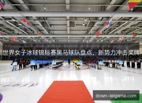 世界女子冰球锦标赛黑马球队盘点,新势力冲击奖牌 世界女子冰球锦标赛黑马球队盘点,新势力冲击奖牌